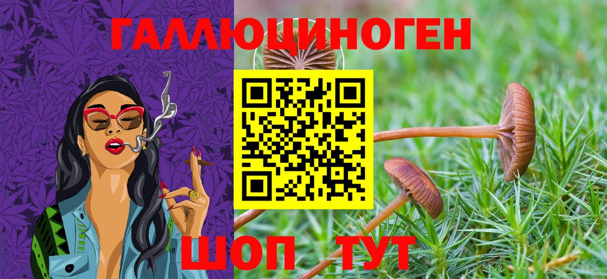 Галлюциногенные грибы MAGIC MUSHROOMS  Вход с VPN  Якутск  Псилоцибиновые грибы MAGIC MUSHROOMS 
