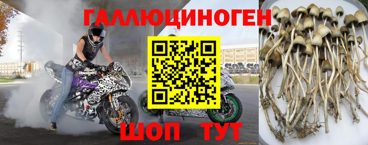 Галлюциногенные грибы Magic Shrooms Якутск